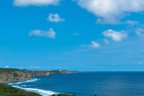 ���A�X�`���[��